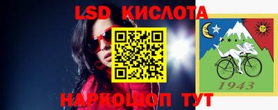 крисы Ирбит