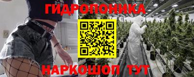 мдпв Ипатово