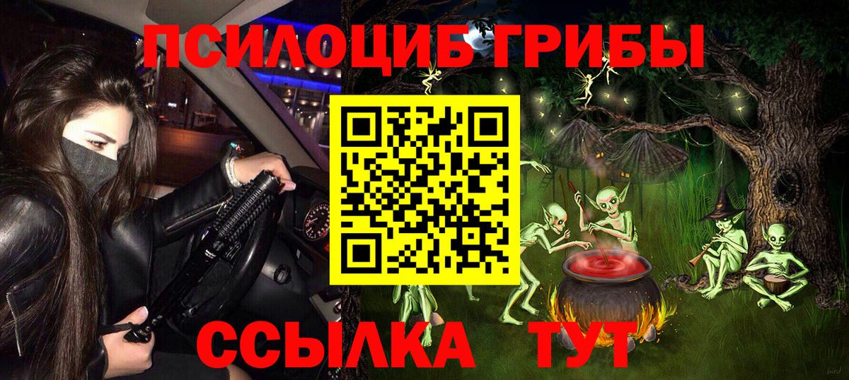 Псилоцибиновые грибы мицелий Лосино-Петровский