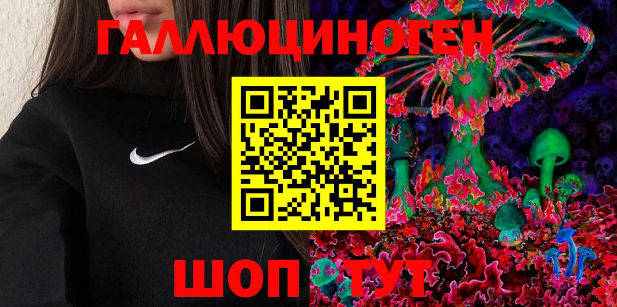 Лосино-Петровский  Псилоцибиновые грибы мицелий  Псилоцибиновые грибы GOLDEN TEACHER  Вход с VPN 
